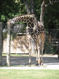 20100206 492.JPG